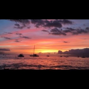 Meet your Posher, Audrey